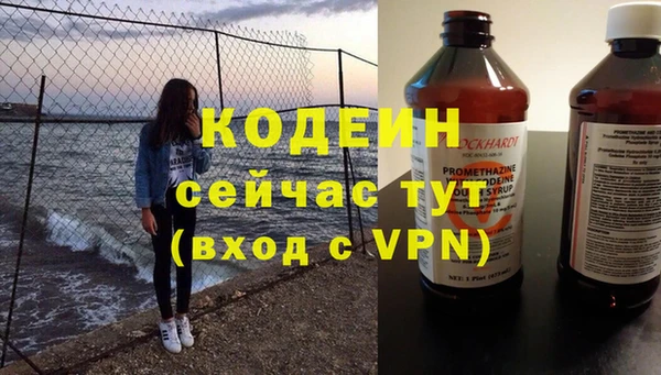 прущие грибы Бородино