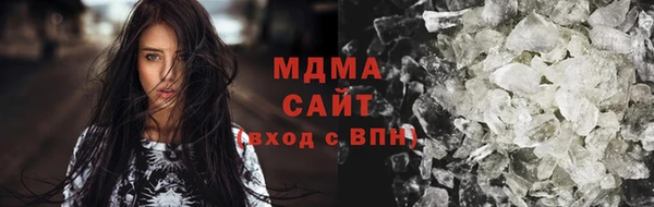 прущие грибы Бородино