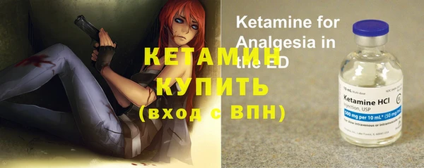 прущие грибы Бородино