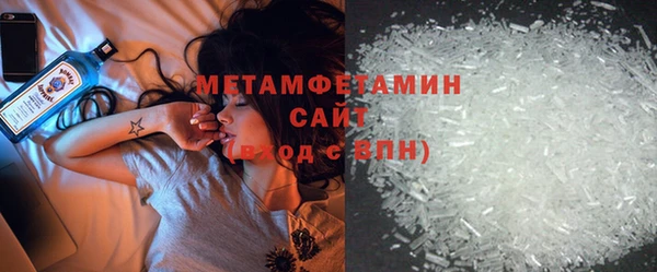 прущие грибы Бородино