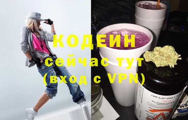 прущие грибы Бородино