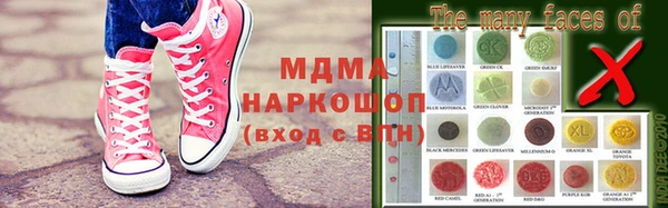 прущие грибы Бородино
